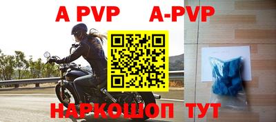 a pvp Новозыбков