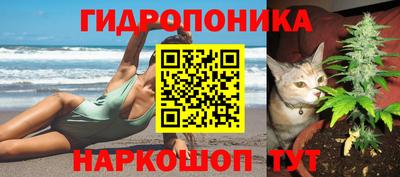мдпв Обь