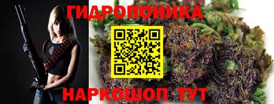 a pvp Новозыбков