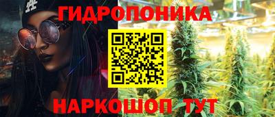 прущие грибы Новокубанск