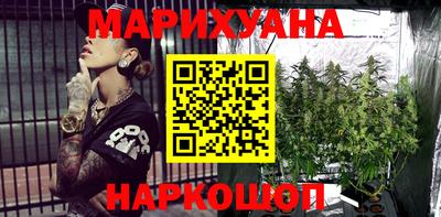 a pvp Новозыбков