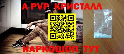 a pvp Новозыбков