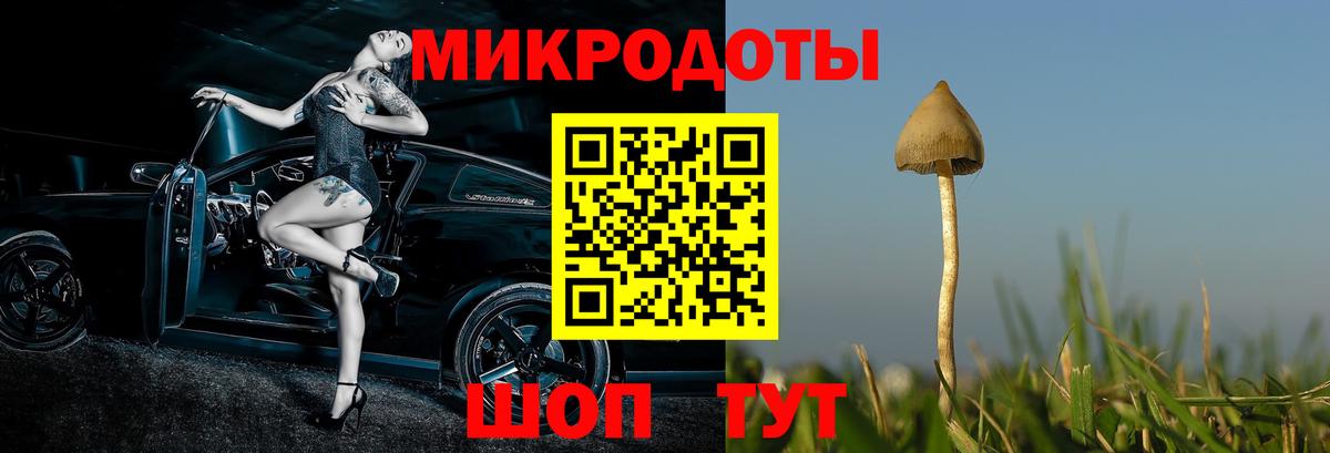 Тула  Псилоцибиновые грибы MAGIC MUSHROOMS  магазин продажи   Вход с VPN 